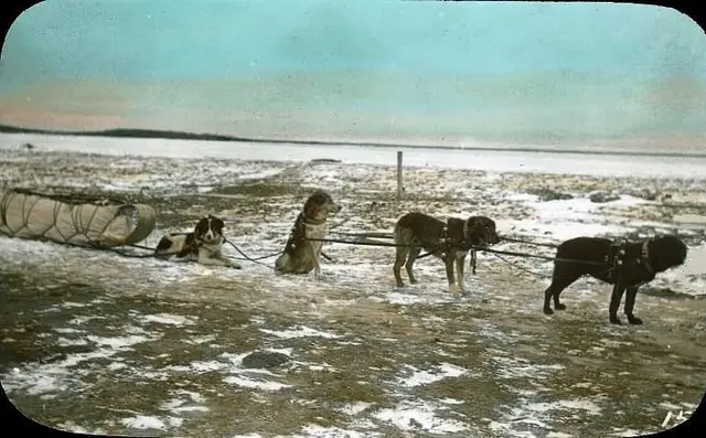 Dog team and sled on the lakeshore